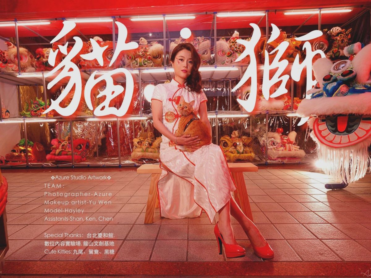 寵物攝影｜貓．獅—公益街貓攝影,人像攝影,藝術創作 台北慶和館舞獅｜光陰影像