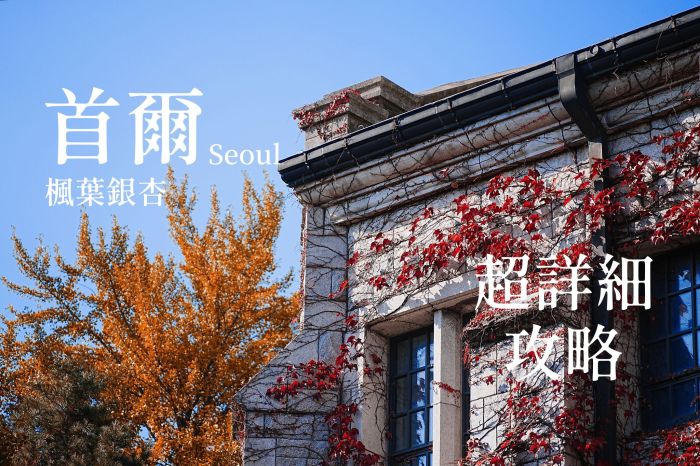 首爾楓葉銀杏攻略